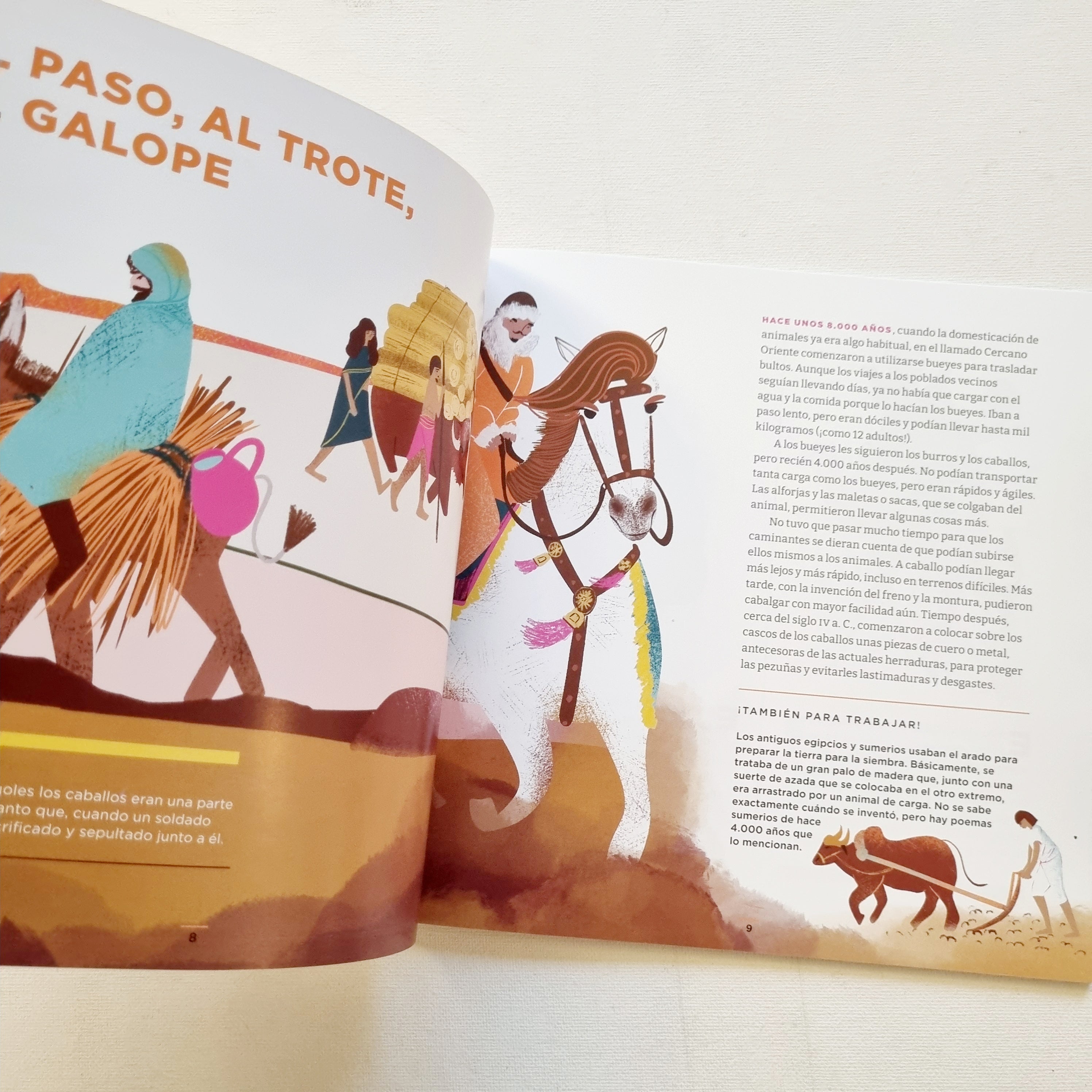 A viajar! Una expedición a la historia de los transportes. A viajar! Una expedición a la historia de los transportes.